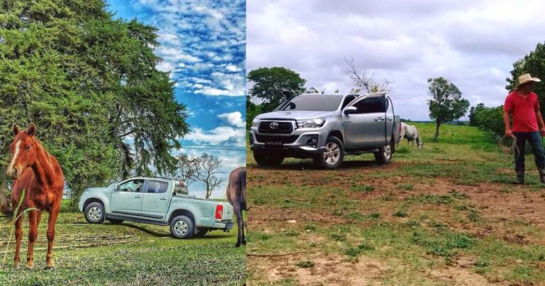 Oportunidad Realista como Chofer para Finca: Trabajo Estable y Flexible en Entorno Rural