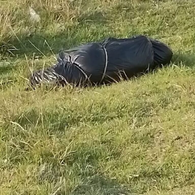 Extraño hallazgo cerca de canal en Almoloya del Río genera alarma entre habitantes