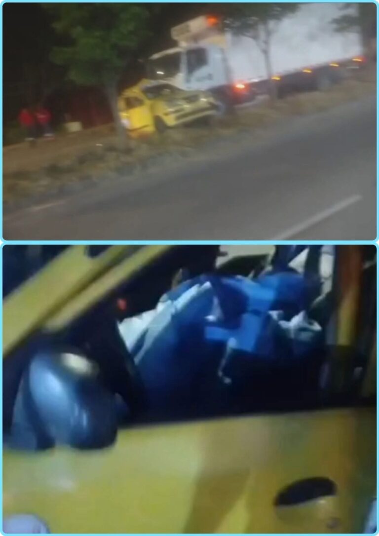 Taxista intentó salvar a un perrito en plena vía y la historia de “Dólar” conmueve a toda una región
