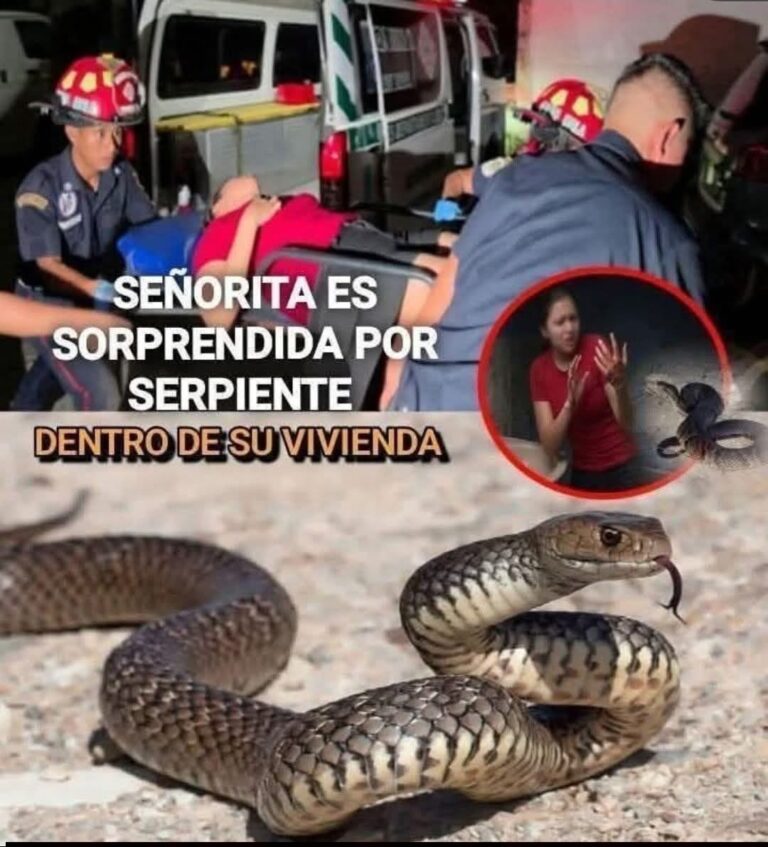 Se acostó a descansar y horas después ocurrió una tragedia que enluta a la música