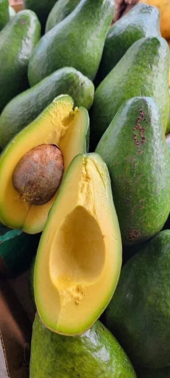🥑 Médicos revelan qué pasa en tu cuerpo cuando comes aguacate todos los días… y pocos lo saben