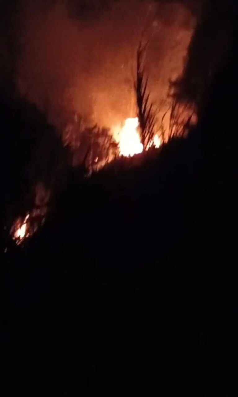 🔥 Incendio forestal genera alarma en el sector Los Robles de Timbío