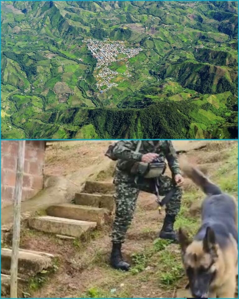 🚨 Ejército destruyó dos artefactos explosivos cerca de un colegio en Argelia, Cauca