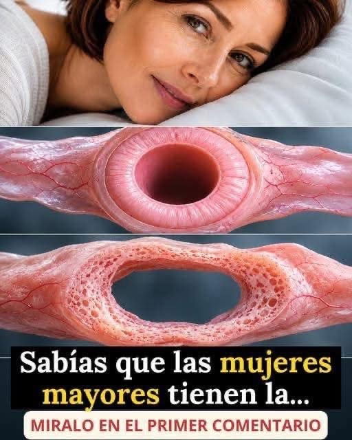 🚨 El cambio íntimo del que casi nadie habla: lo que muchas mujeres comienzan a notar después de los 40