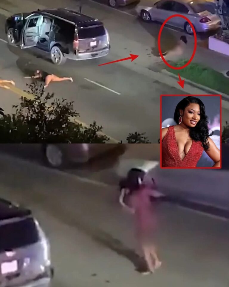 “Todo explotó aquella noche”: el caso de Megan Thee Stallion y Tory Lanez que dividió al mundo